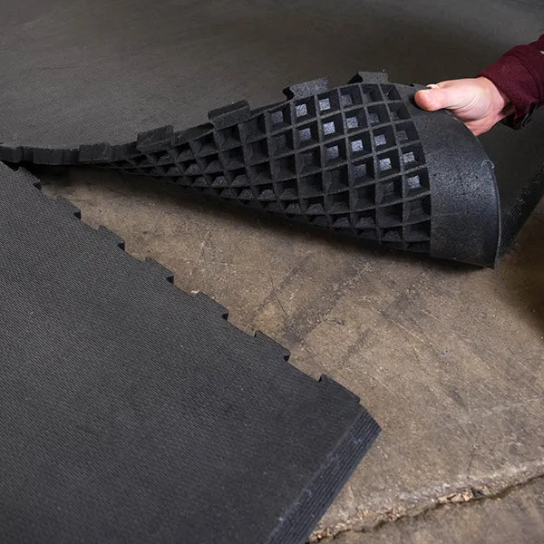 Body-Solid SPR PLATFORM